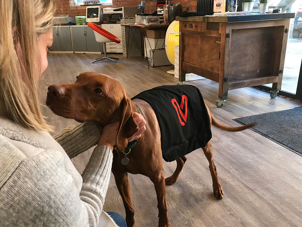 Dani Hill with Rory the office dog