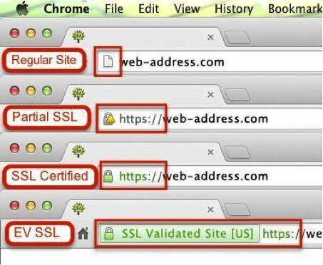 Levels of SSL protection