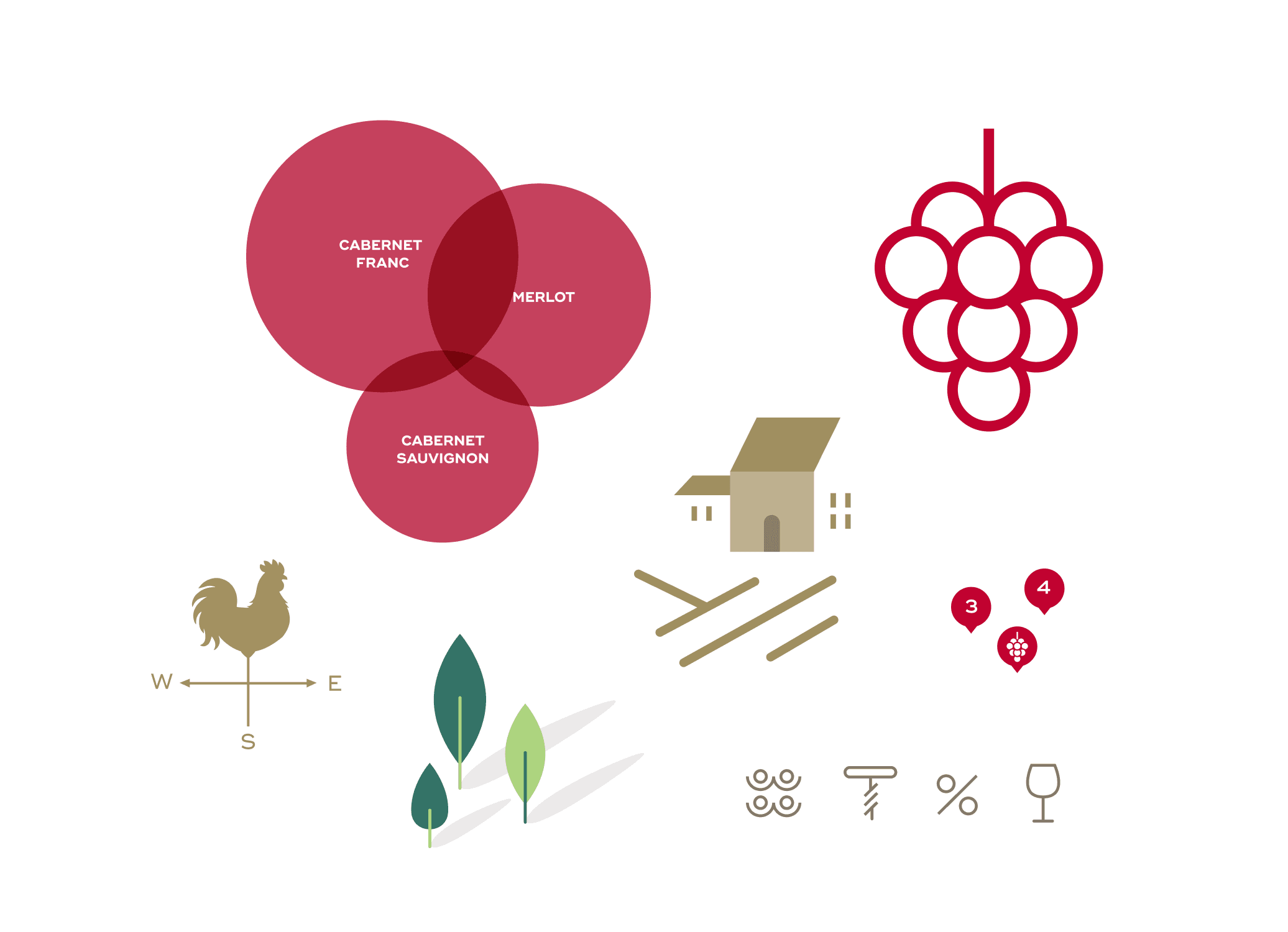 A selection of Corney & Barrow website Icons and Illustrations.