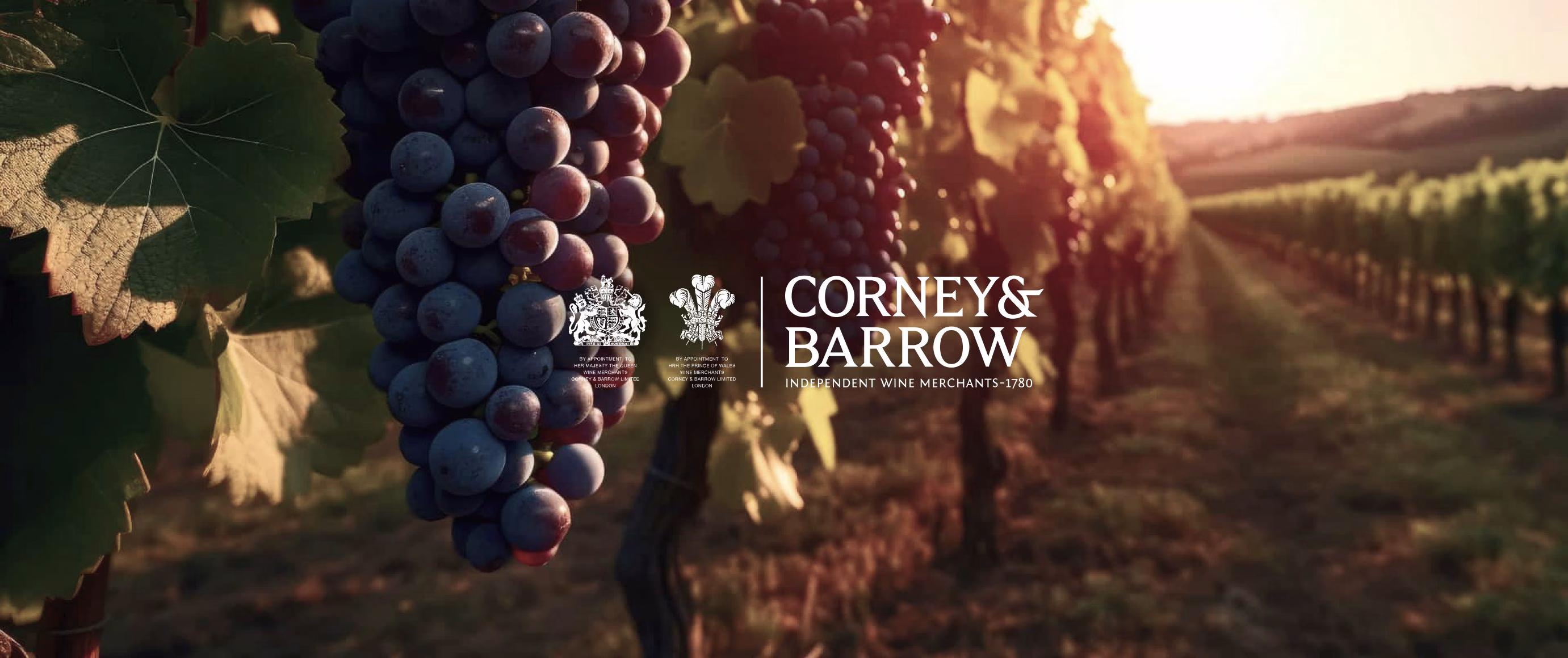 Close-up of ripe wine grapes growing in a sunlit vineyard with the Corney & Barrow logo, representing premium wine merchants and vineyard sourcing.